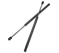 RAGBUSCLE Gas Tailgate Support Struts Rear Left/Right Compatible with Ford Focus Mk1 Hatchback 2003 2004 2002 2000 2001 1998 1999, 2pcs