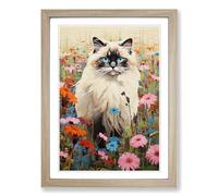 Ragdoll Cat Colour Field Framed Wall Art Print, Ready to Hang Picture for Living Room Bedroom Home Office, Oak A2 (48 x 66 cm)