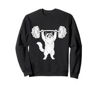 Ragdoll Cat Gym Lifting Club For Cat Dad And Cat Mom Sweatshirt