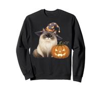 Ragdoll Cat Mom Halloween Witch With Pumpkin Cute Fall Sweatshirt
