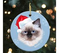 Ragdoll Cat Ornament, Santa Hat Cat Ornament, 3" Porcelain Hanging Pendant Ornaments for Christmas Tree Decor, Funny Cute Cats Xmas Holiday Keepsake Ornament with Snowflakes, Pet Gifts for Cat Lovers