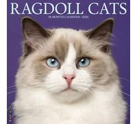 Ragdoll Cats 2026 12" x 12" Wall Calendar