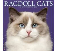 Ragdoll Cats 2026 12 X 12 Wall Calendar