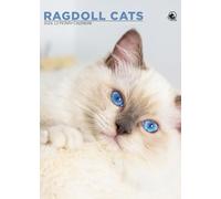 Ragdoll Cats - A3 Calendar 2026