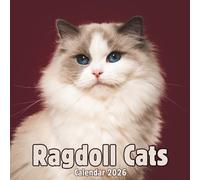 Ragdoll Cats Calendar 2026: 14 Months , Organizer From November 2025 to December 2026 , For Men , Women , Girls , Boys