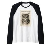Rage is Consuming Me Funny Silly Staring Cat Meme Sumi-e Raglan Baseball Tee