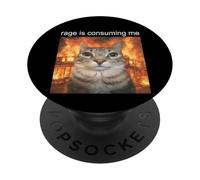 Rage Is Consuming Me Silly Staring Cat Meme Women Men PopSockets Adhesive PopGrip