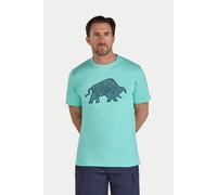 Raging Bull Men's High Build Geo Bull T-Shirt in Mint | Size: Medium raging bull Mint M