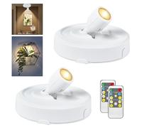 RAHAN 2Pack Battery Operated LED Spotlight, Picture Spot Lights, Indoor Uplights with Remote Dimmable & Timer, Plants Spotlight, Wall Display Lights for Dartboard Paintings Portrait Artwork