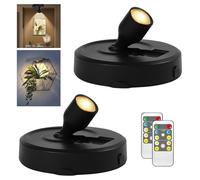 RAHAN 2Pack Battery Operated Spotlight, Picture Light with Remote Dimmable & Timer, Plants Uplighting Picture Lights for Paintings, Small LED Spot Display Lights for Wall Frame Artwork Dartboard