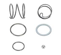 Raheem 6pc Power Tool Spring and Ball Bearing Kit for Dewalt Impact Driver Kit DCF885 DCF886 DCF887 DCF888 - N016823 N019351 N053863 N078434 N089668 Fit for Impact Driver Dewalt DC850