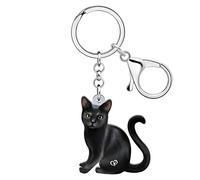 RAIDIN Acrylic Cute Cat Charm for Women Girls Funny Cat Keychain Key Ring Gifts for Car Purse Keys Pets Lovers Accessories (Sable)
