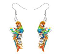 RAIDIN Funny Hawaiian Tropical Bird Parrot Earrings for Women Cute Cocktail Margarita Dangle Earrings Parrot Jewelry for Beach Loves Gifts Party Accessories, M, Acrylic, No Gemstone