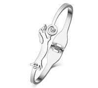 RAIDIN Gold Bangle Bracelet for Women Girls 18K Gold Plated Stainless Steel Dainty Rhinestone Crystal Accents Animal Dog Pets Cuff Bracelets Fashion Jewelry Gifts for Dog Lovers (Silver-073 Dachshund)