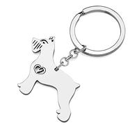 RAIDIN Stainless Steel 18K Gold Silver Plated Cute Dog Keychain Keyring for Women Girls Gifts Car Purse Keys Dog Lovers Charms Accessories (Silver-087 Schnauzer)