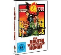 Raimund Harmstorf, Fred Williamson, Bo Svenson - Ein Haufen verwegener Hunde, 1 DVD