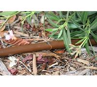 Rain Bird Dripline XFD Drip Pipe 16 mm 33 cm Pressure Compensating + Self-Cleaning 2.3 l/h Above Ground Colour Dark Brown (50 Metres