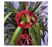 Rain Chain, Rain Chains for Downspouts Villa Falling Water Chain Eaves Decoration Guide Morning Glory Drainage for Exterior Gutters(Chinese red Lantern)