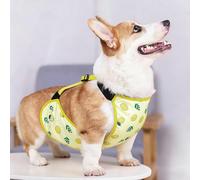 Rain Coat for Dog Water Proof Belly Shield For Corgis & Stays Dry In Rain Mud & Grass. Ideal Sensitive Skin Lightweight Bellyband & Protector Breathable Dirty Puppy Outfits (Yellow, XS)