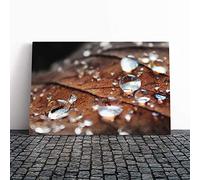 Rain Drops on an Autumn Leaf (3) Canvas Print | Gallery Wrapped 30mm Frame Wall Art | 30x20 inches | Ready to Hang | Modern Floral Picture | Living Room Bedroom Lounge Office