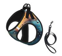 Rain Drops On Glass Print Dog Harness Reflective Pet Vest Harness Puppy Harnesses Leash Set,For Walking Training
