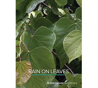 Rain On Leaves (short)
