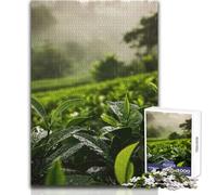 Rain on Tea Plantation Adults 1000 Pieces Puzzle Strategic Thinking Learning Game Ideal Meaningful Gift for Any Event Size 38x26cm
