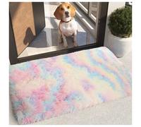 (Rainbow, 60x110cm (2ft x 3.5ft)) Shaggy Rug Soft Fluffy Carpet - Modern Living Room Bedroom Rugs - Large & Small Area Floor Mat - Anti-Slip Thick Pile