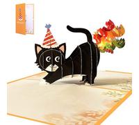 Rainbow Birthday Card With Sound And Light Greeting Cards Fun And Unique Kids Daughter Women Men Kids Music Card