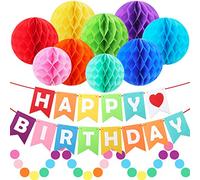 Rainbow Birthday Party Decorations, Colorful Honeycomb Poms, Happy Birthday Banner, Circle Dots Hanging Decorations by ZJHAI