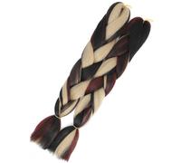 Rainbow Braiding Hair Extension，24 Inch 2 Packs Synthetic Braid in Hairs Extensions 4 Tone Crochet Colored Wig(D11)