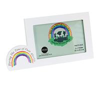 Rainbow Bridge Friends 2342 Pet Wings Photo Frame Landscape