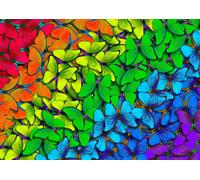 Rainbow Butterflies