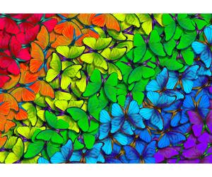 Rainbow Butterflies
