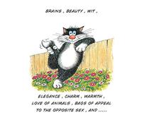 Rainbow Cards - Brains, Beauty, Wit…