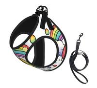 Rainbow Clouds Raindrop 1 Print Step in Dog Harness and Leash Set,Adjustable Reflective Harness for Small Dogs Cats
