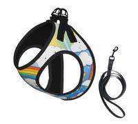Rainbow Clouds Raindrop Print Dog Harness Leash Set Reflective Pet Harness Puppy Vest Suitable Dogs Cats Small Breeds