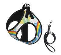Rainbow Clouds Raindrop Print Step in Dog Harness and Leash Set,Adjustable Reflective Harness for Small Dogs Cats