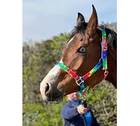 Rainbow Coloured Headcollar With Matching Lead Rope Chrome Fitting Size Full to Mini Shetland (Pony)