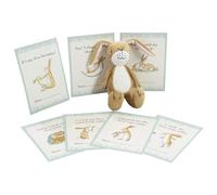 Rainbow Designs Guess How Much I Love You Little Nutbrown Hare Soft Toy & 12 Milestone Cards - Charming Baby Gift Set for First-Year Memories - Presented in Bespoke Gift Box