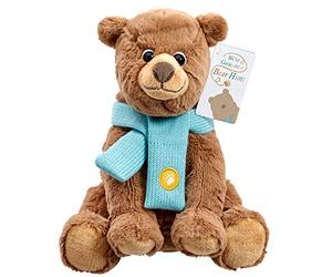 Rainbow Designs Official We're Going On a Bear Hunt - Super Soft Brown Bear Toy For Toddlers and Babies, 24cm