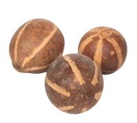 Rainbow Eco Play Natural Bellani Pumpkins, Autumn Decorations, Festive Floristry and Display, Seasonal Arrangements, Halloween Crafts, Decorations, Wreath Making, Garlands, Home Décor - 5pcs