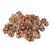 Rainbow Eco Play Natural Cypress Pine Cones - Christmas Decorations, Wreath Crafting, Ideal for Crafts, Bowl Fillers, Festive Floristry and Display, Home Décor, Table Scatters - approx 30pcs - 100g