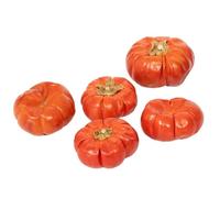 Rainbow Eco Play Natural Mini Pumpkins, Autumn Decorations, Festive Floristry and Display, Seasonal Arrangements, Halloween Crafts, Decorations, Wreath Making, Garlands, Home Décor