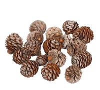 Rainbow Eco Play Natural Murri Head Cones, Christmas Decorations, Wreath Making, Ideal for Crafts, Bowl Fillers, Festive Floristry and Display, Home Décor, Table Scatters - 200g