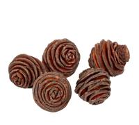 Rainbow Eco Play Natural Platyspernum Cones - Christmas Decorations, Wreath Making, Ideal for Crafts, Bowl Fillers, Festive Floristry and Display, Home Décor, Table Scatters - 200g