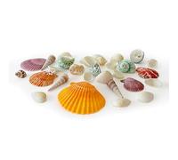 Rainbow Eco Play Sea Shells, Mixed Seashells Approx. 50pcs, Natural Shells for Crafting, Real Beach, Decorative, Arts and Crafts, Vase, Aquarium, Fish Tank, Home Décor