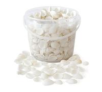 Rainbow Eco Play Sea Shells, White Seashells Approx. 650pcs, Natural for Crafting, Real Beach Shells, Decorative, Arts and Crafts, Vase, Aquarium, Fish Tank, Home Décor
