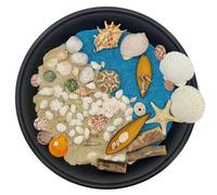 Rainbow Eco Play Seashore/Beach Play Kit for Sensory Tuff Tray & Montessori