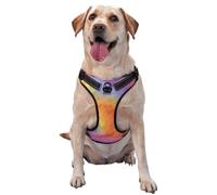 Rainbow Faux Fur Texture Soft Flame No Pull Dog Harness Adjustable Reflective Oxford Easy Control Medium Large Dog Harness